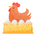 chicken-coop chicken-coop