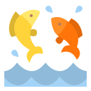 fish fish